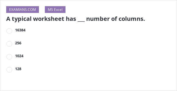 A typical worksheet has number of columns EXAMIANS